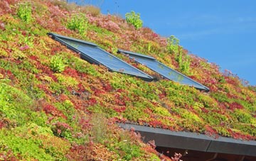Sicklesmere living roof systems